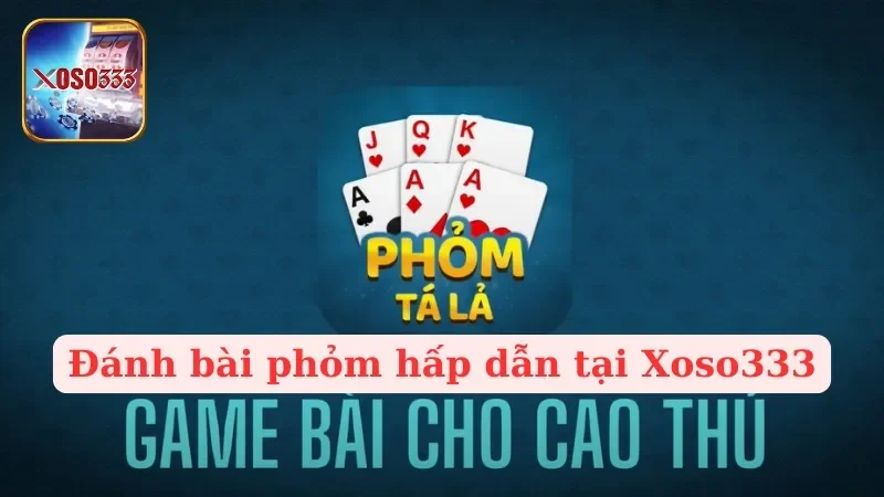 Cách Chơi Bài Phỏm Chi Tiết Nhất Cho Người Mới Bắt Đầu