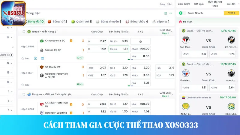 Tham gia cá cược thể thao Xoso333 chỉ với một vài thao tác cơ bản.