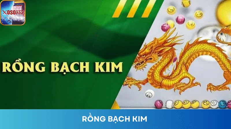 Rồng Bạch Kim Xoso333 Là Gì? Toàn Bộ Những Thông Tin Cần Nắm Rõ