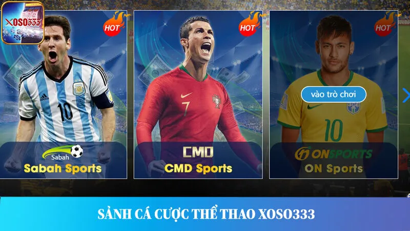 Các sảnh cá cược thể thao Xoso333