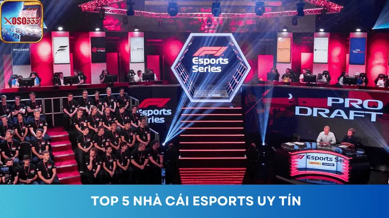 Top Nhà Cái eSport Uy Tín Tại Thị Trường Việt Nam Hiện Nay