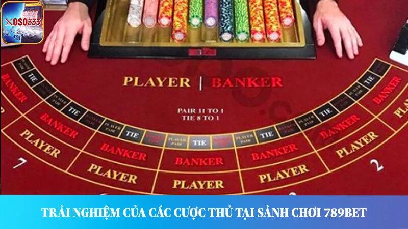 Trải nghiệm người dùng tại 789bet luôn được game thủ đánh giá cao